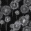 Dandelion Silver